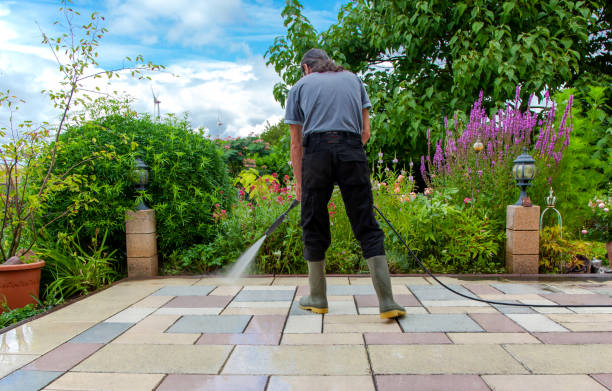 Professional  Pressure Washing Services in Clearwater, SC